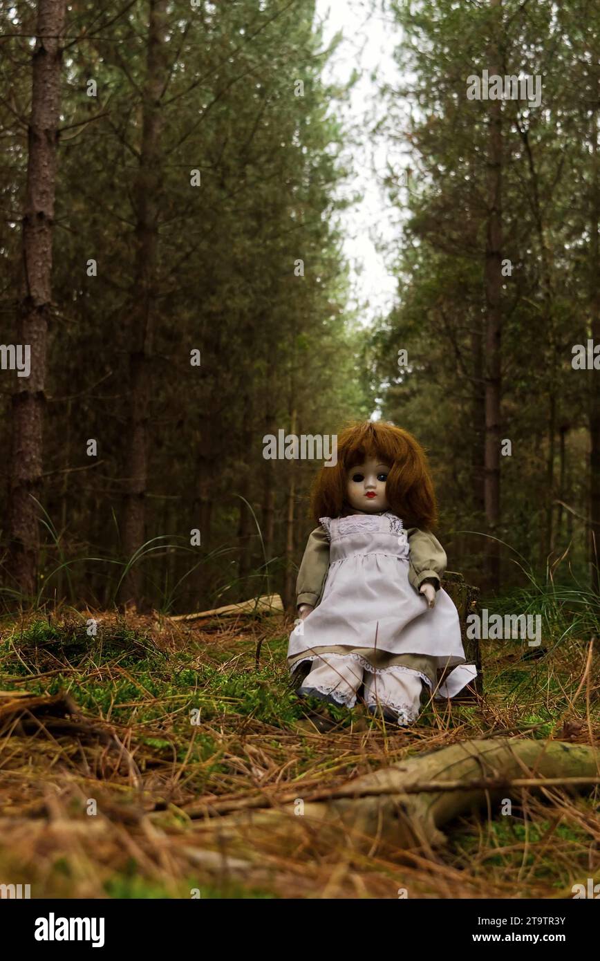 poupée effrayante à 1 yeux assise dans la forêt, style thriller d'horreur. Banque D'Images