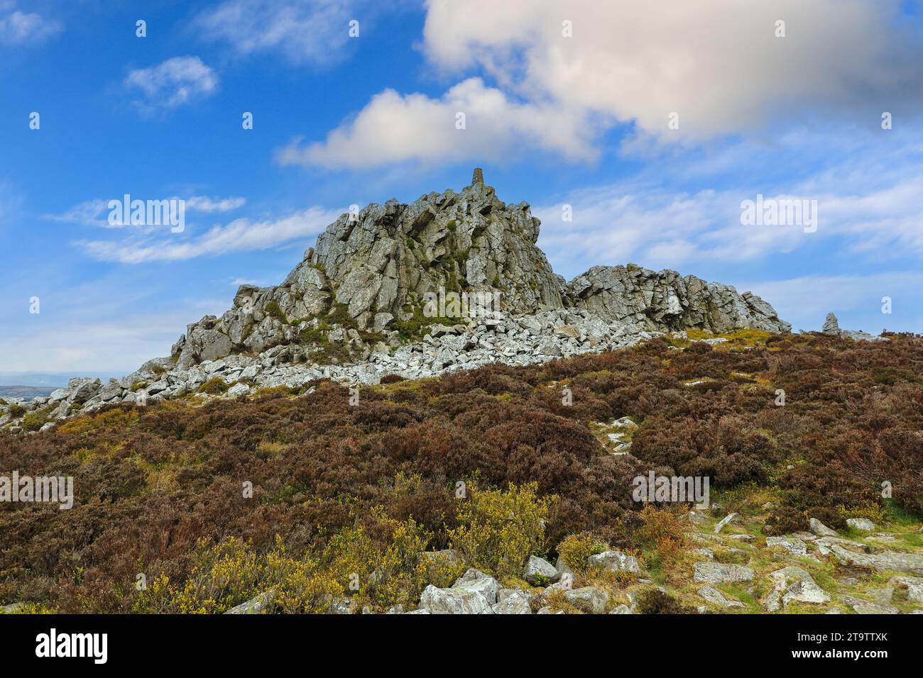 Manstone Rock à Stiperstones Hills, Shropshire, Angleterre, Royaume-Uni Banque D'Images