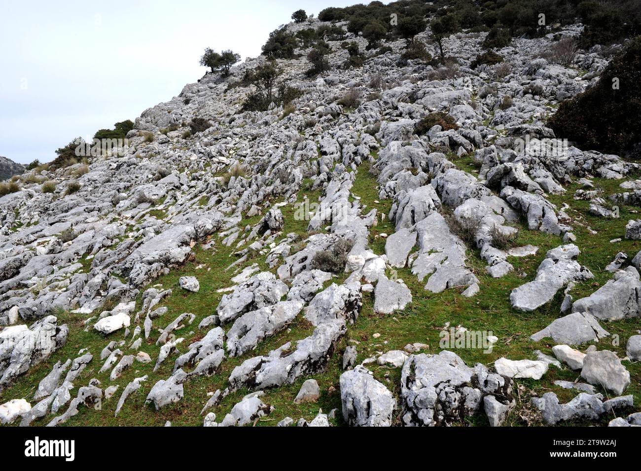 Parc naturel de la Sierra de Cazorla, relief karstique. Jaén, Andalousie, Espagne. Banque D'Images