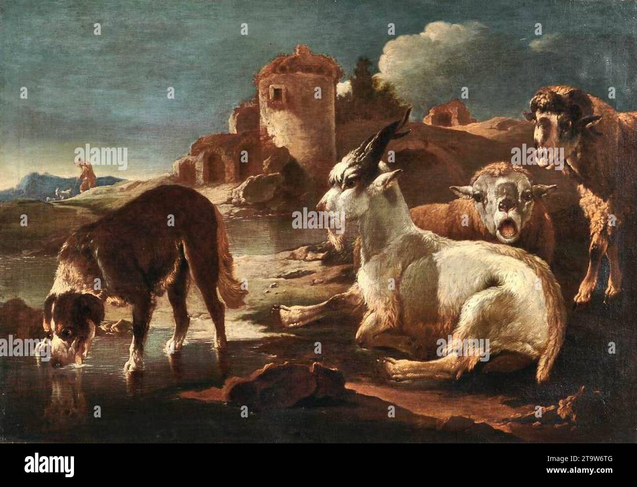 Un chien, une chèvre et deux moutons vers 1690 par Philipp Peter Roos Banque D'Images
