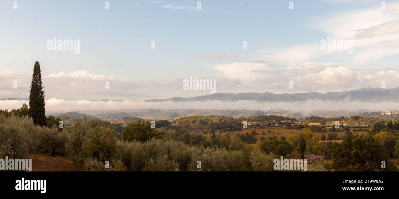 Tôt le matin paysage toscan autour d'Arezzo Banque D'Images