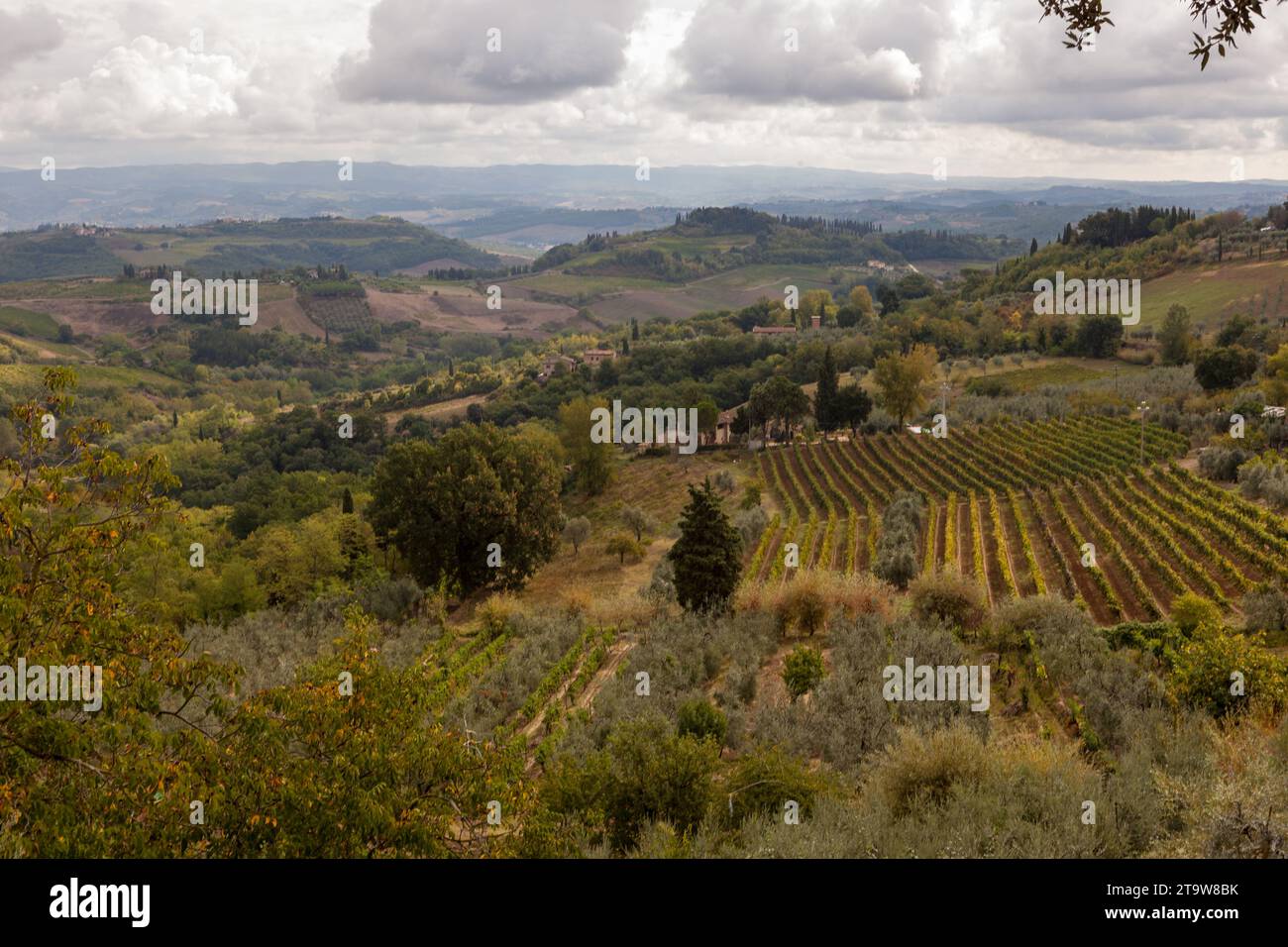 Vue sur la campagne toscane près d'Arezzo, Italie. Banque D'Images