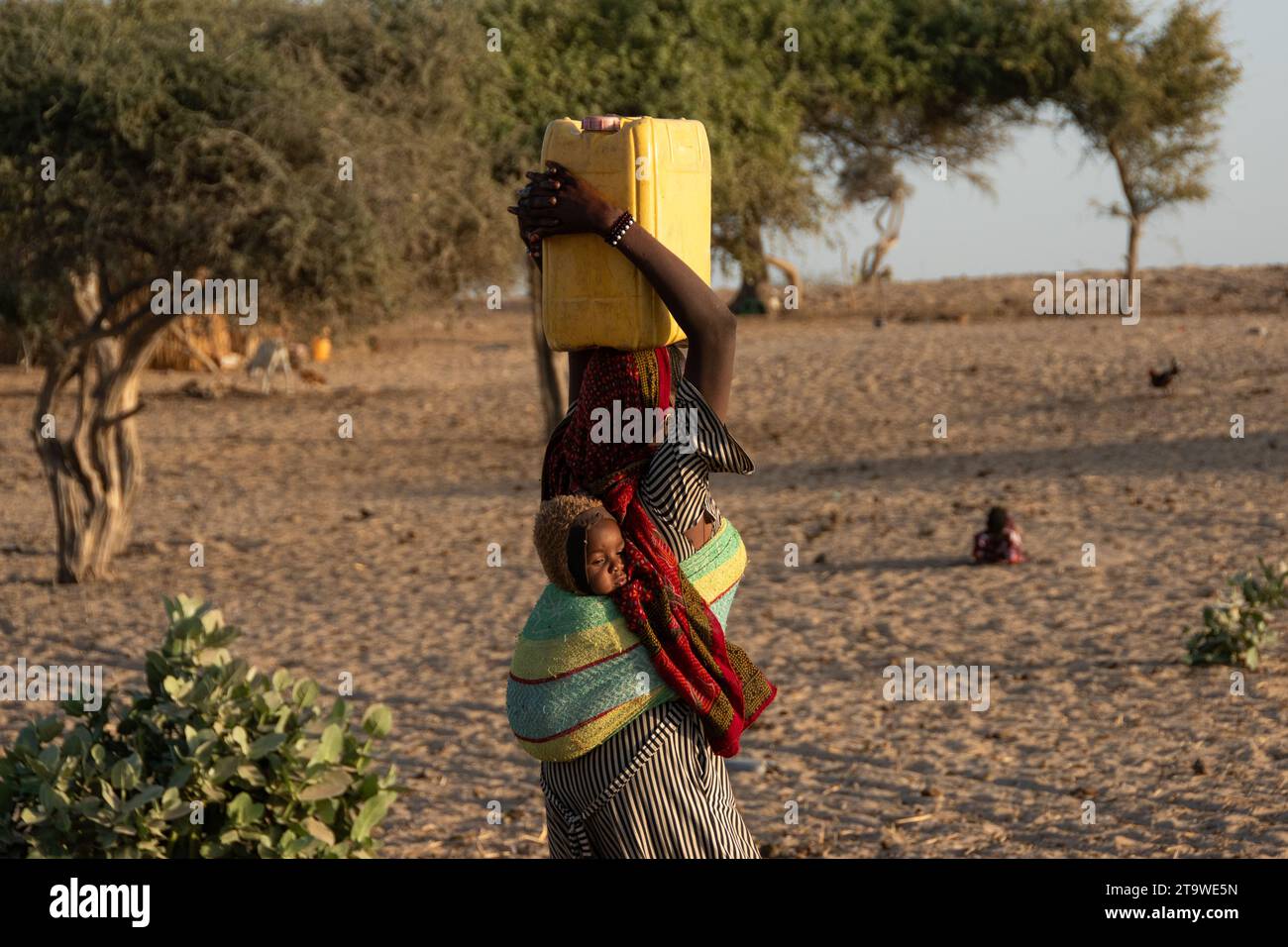 Femme transportant de l'eau dans son campement à côté du lac Tchad Banque D'Images