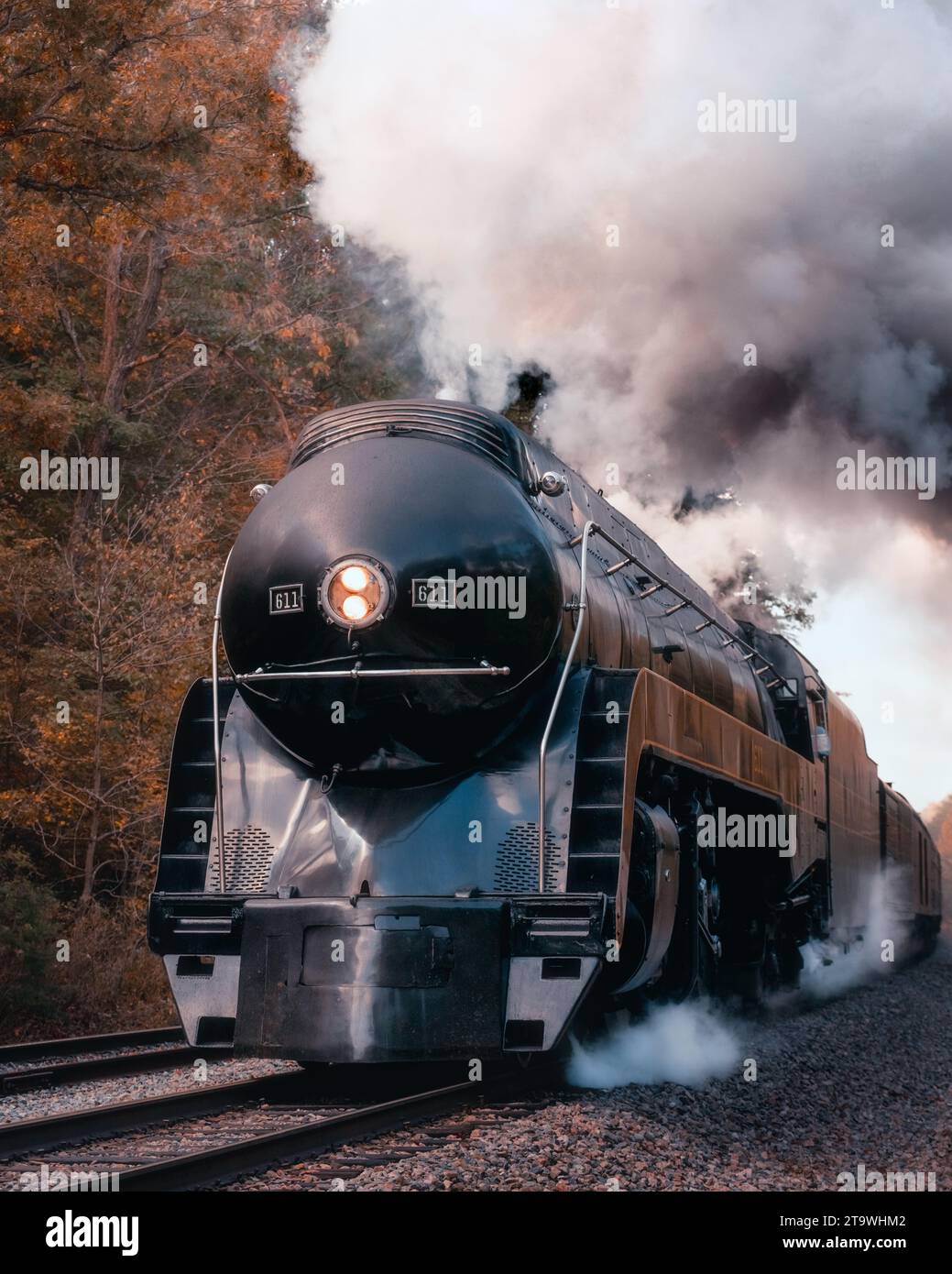 Un train à vapeur vintage longe les voies ferrées, entouré d'arbres verdoyants par temps nuageux Banque D'Images