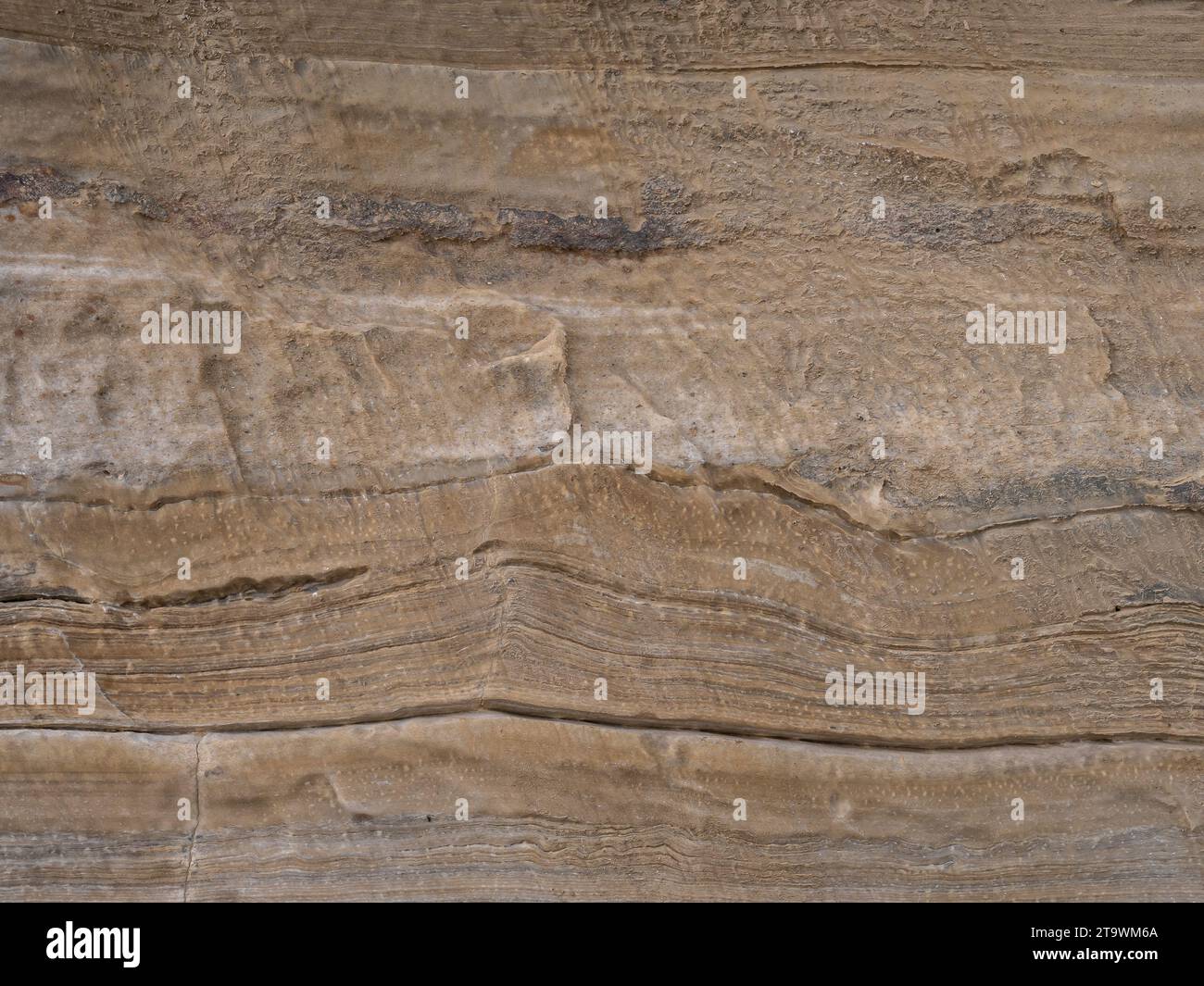 Fond de pierre marron. Gros plan. Banque D'Images