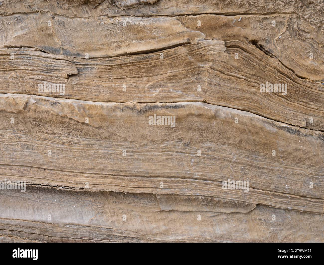 Fond et texture brun en pierre ou en pierre. Banque D'Images