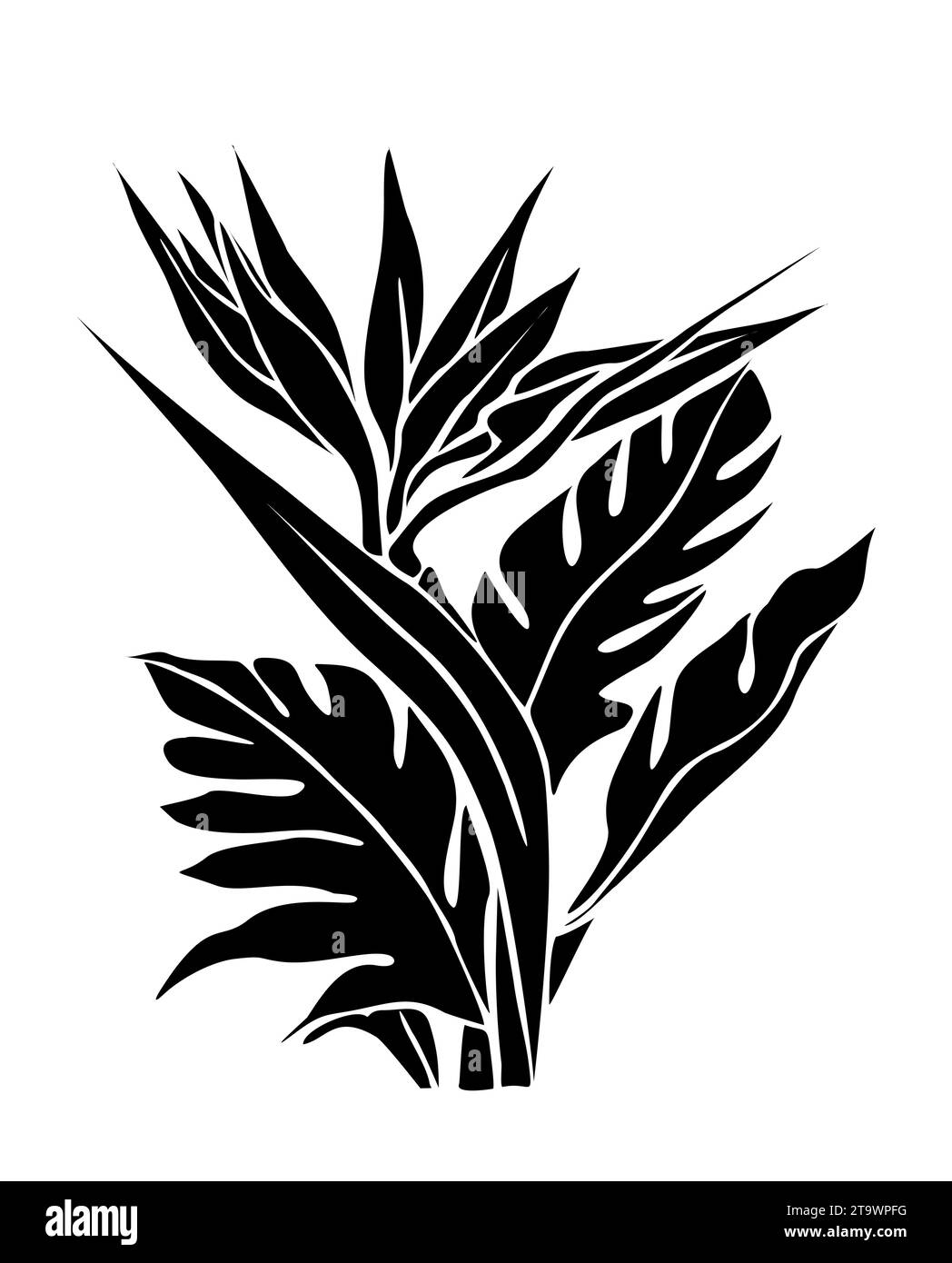 Silhouette de Strelitzia, oiseau de fleur du Paradis. Illustration de Vecteur