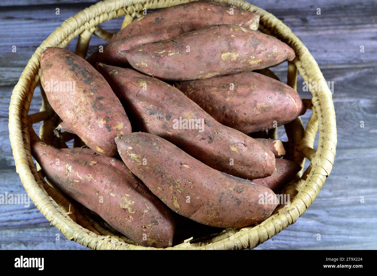 La patate douce ou patate douce (Ipomoea batatas), une plante — free download