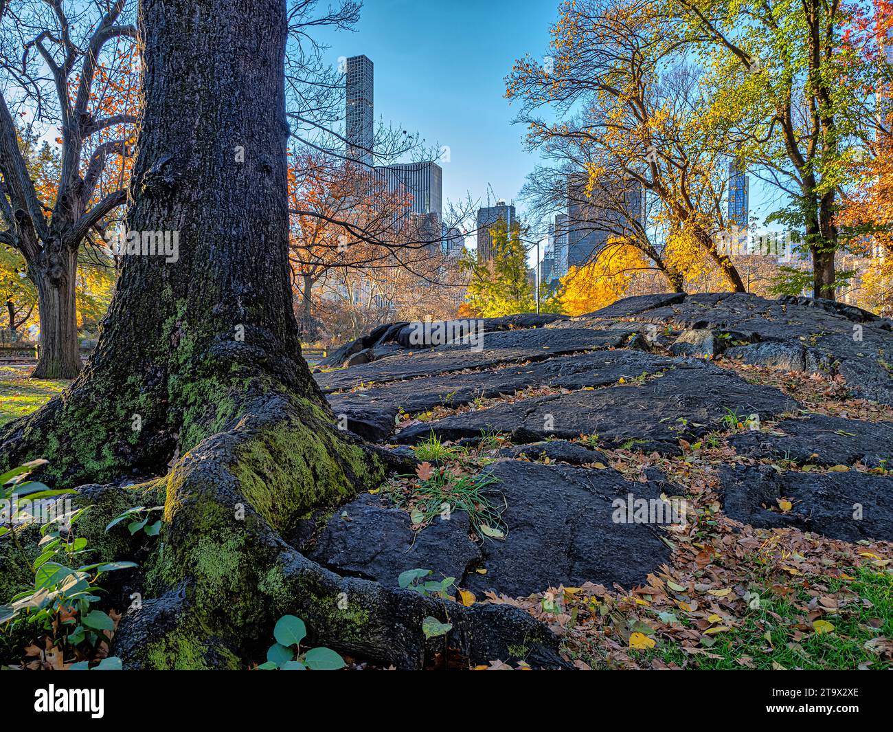 Central Park, New York City en automne Banque D'Images