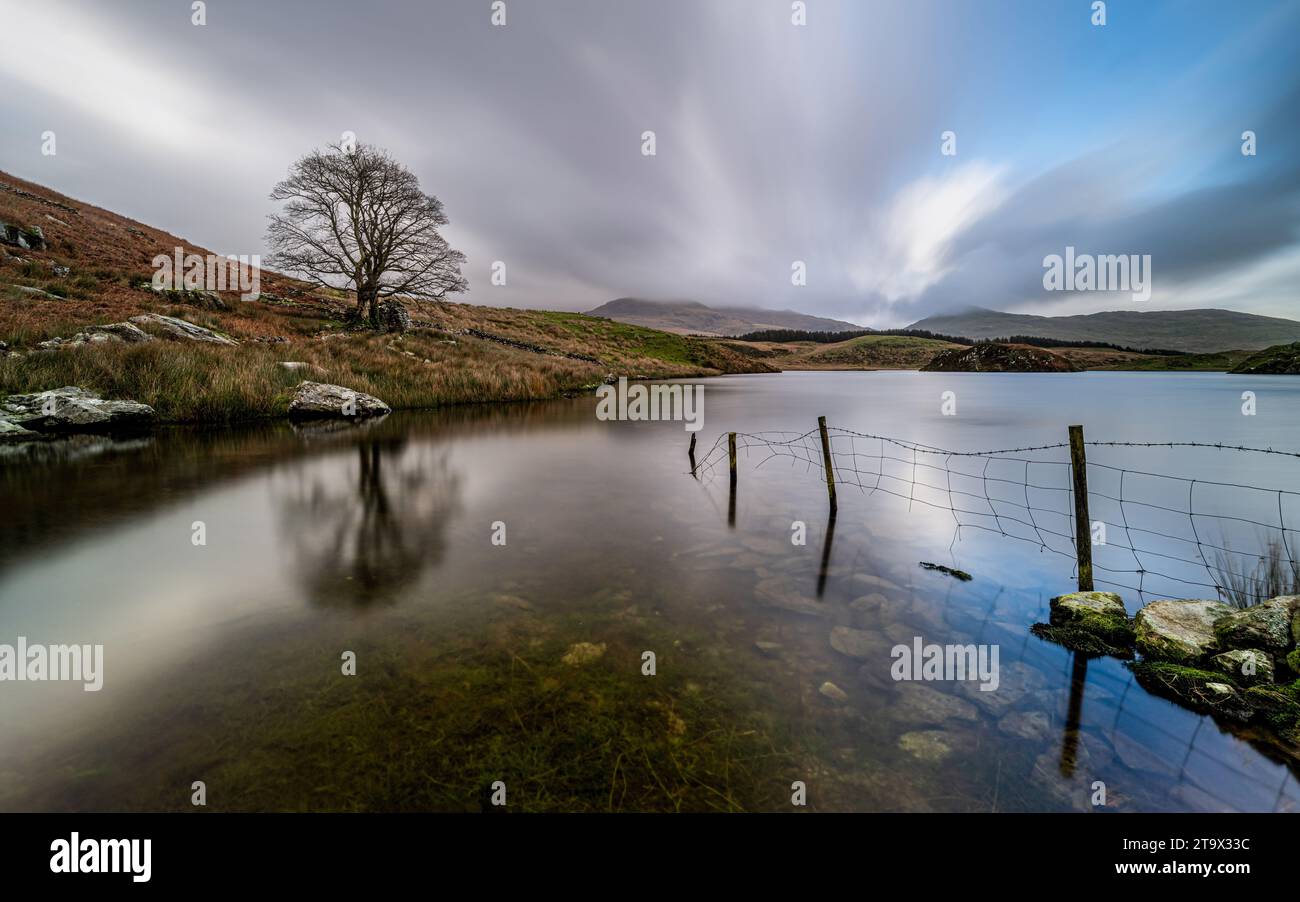 Llyn y Dywarchen, Snowdonia, pays de Galles Banque D'Images