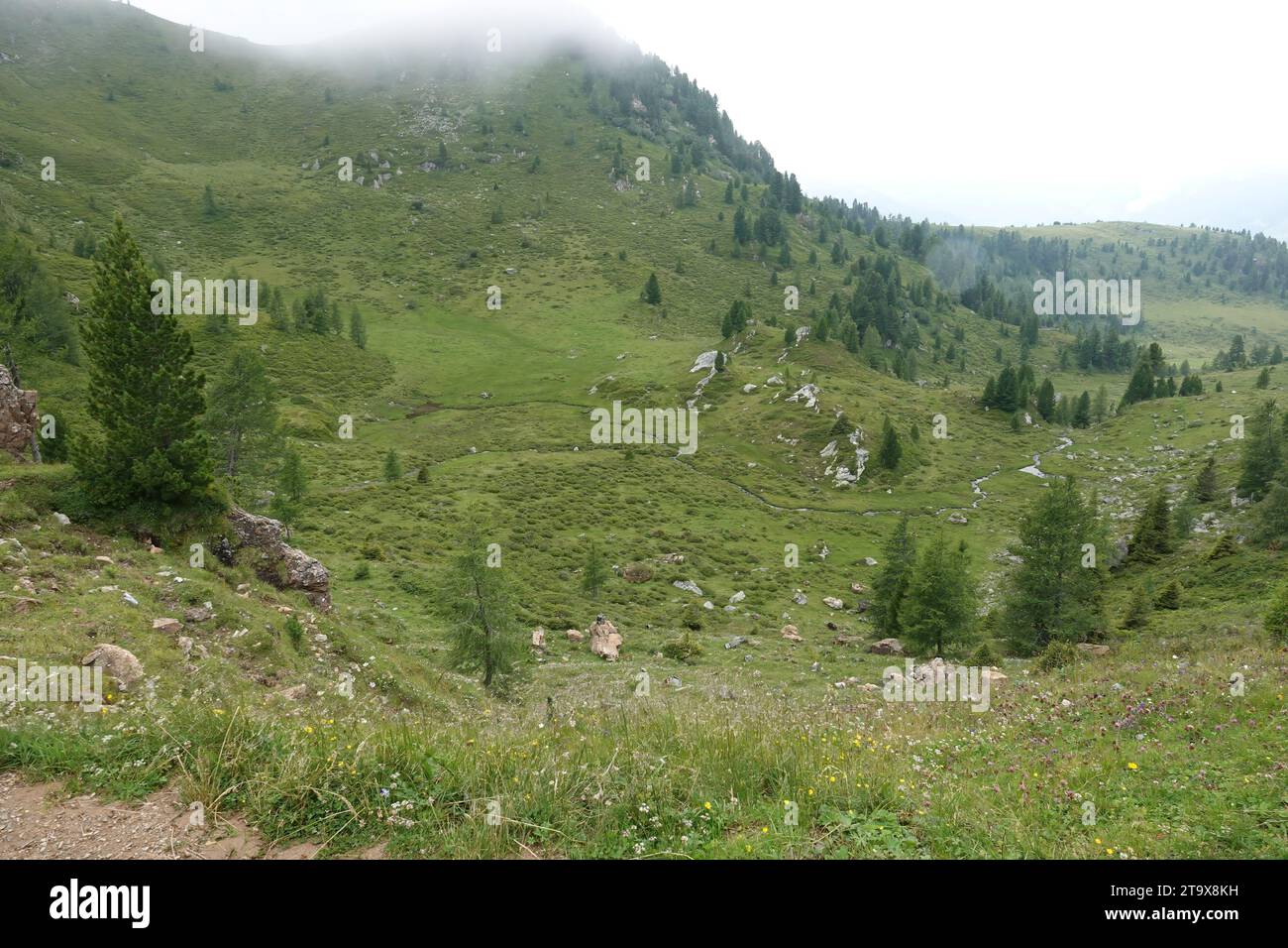 Vue de paysage grand angle naturel sur les montagnes brumeuses contre un ciel gris dans les alpes des Carpates, Autriche Banque D'Images