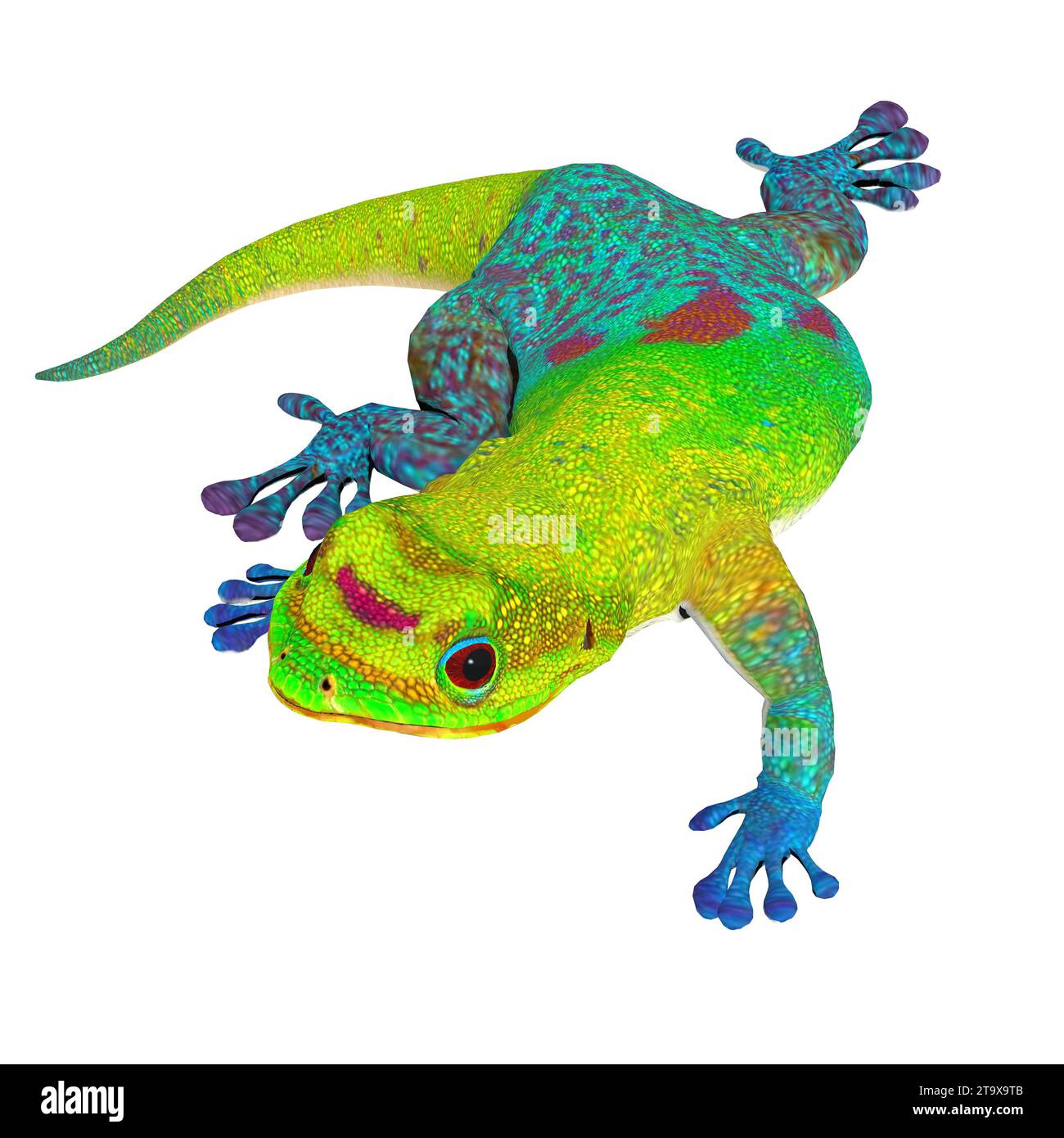 Le Gecko est un lézard carnivore coloré que l'on trouve sur tous les continents sauf l'Antarctique. Banque D'Images