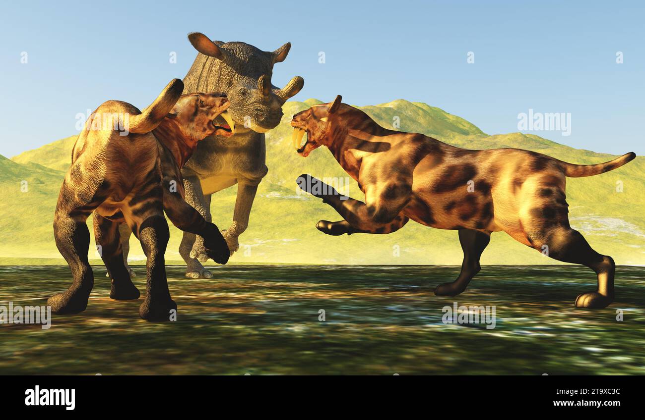 Un mammifère Brontotherium tente de se défendre quand deux tigres prédateurs à dents de sabre l'attaquent. Banque D'Images Un mammifère Brontotherium tente de se défendre quand deux tigres prédateurs à dents de sabre l'attaquent. Banque D'Images