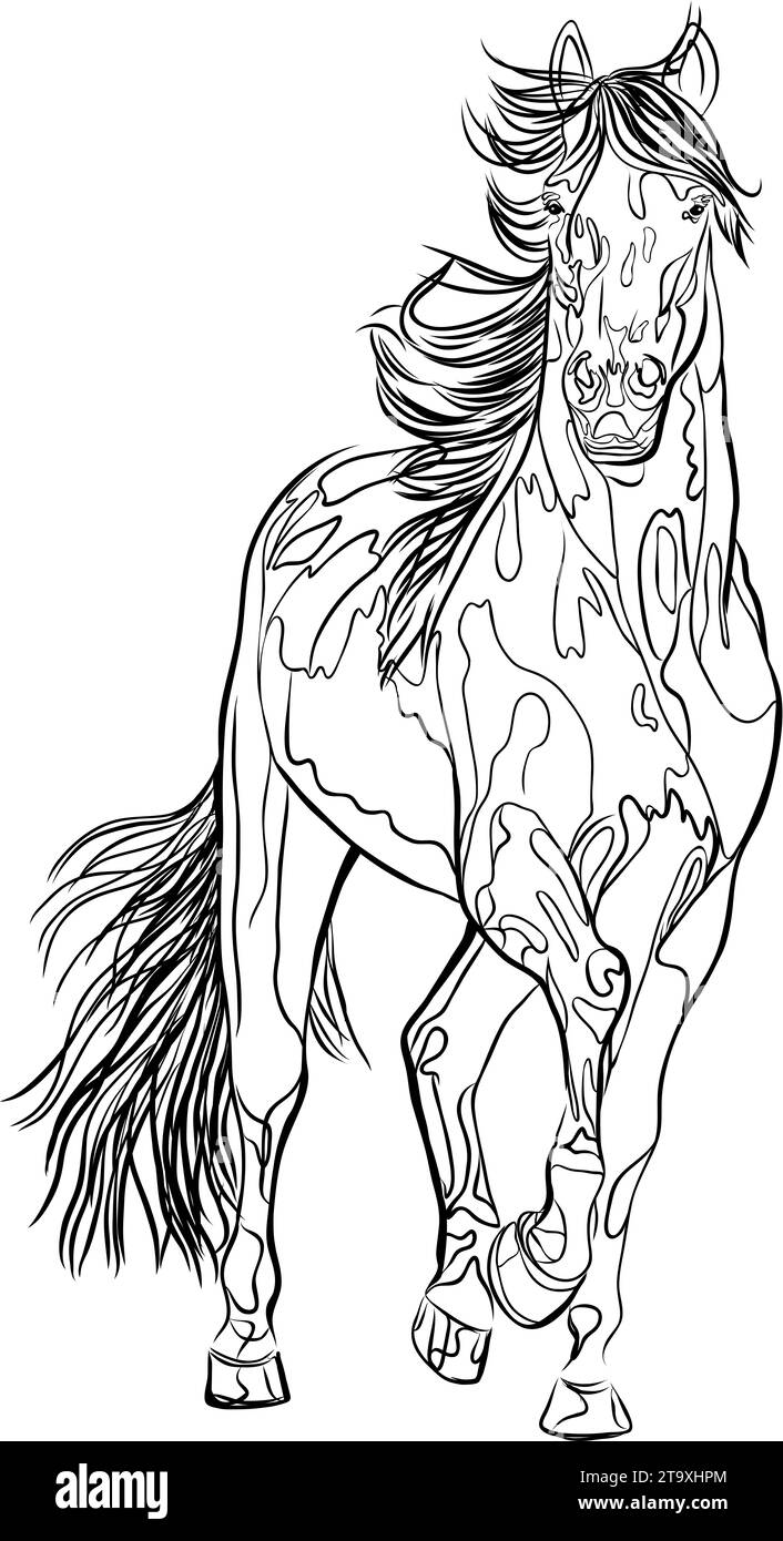 Belle illustration de cheval en ligne noire et blanche Banque D'Images
