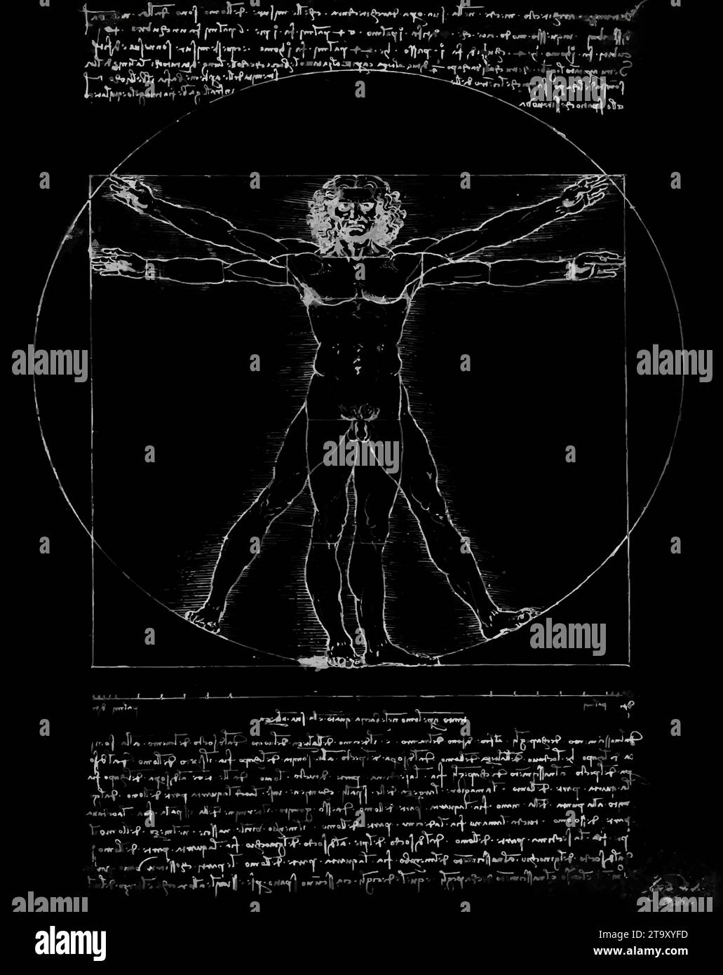 Vitruvian Man par Leonardo Da Vinci - Illustration argent sur Noir Banque D'Images