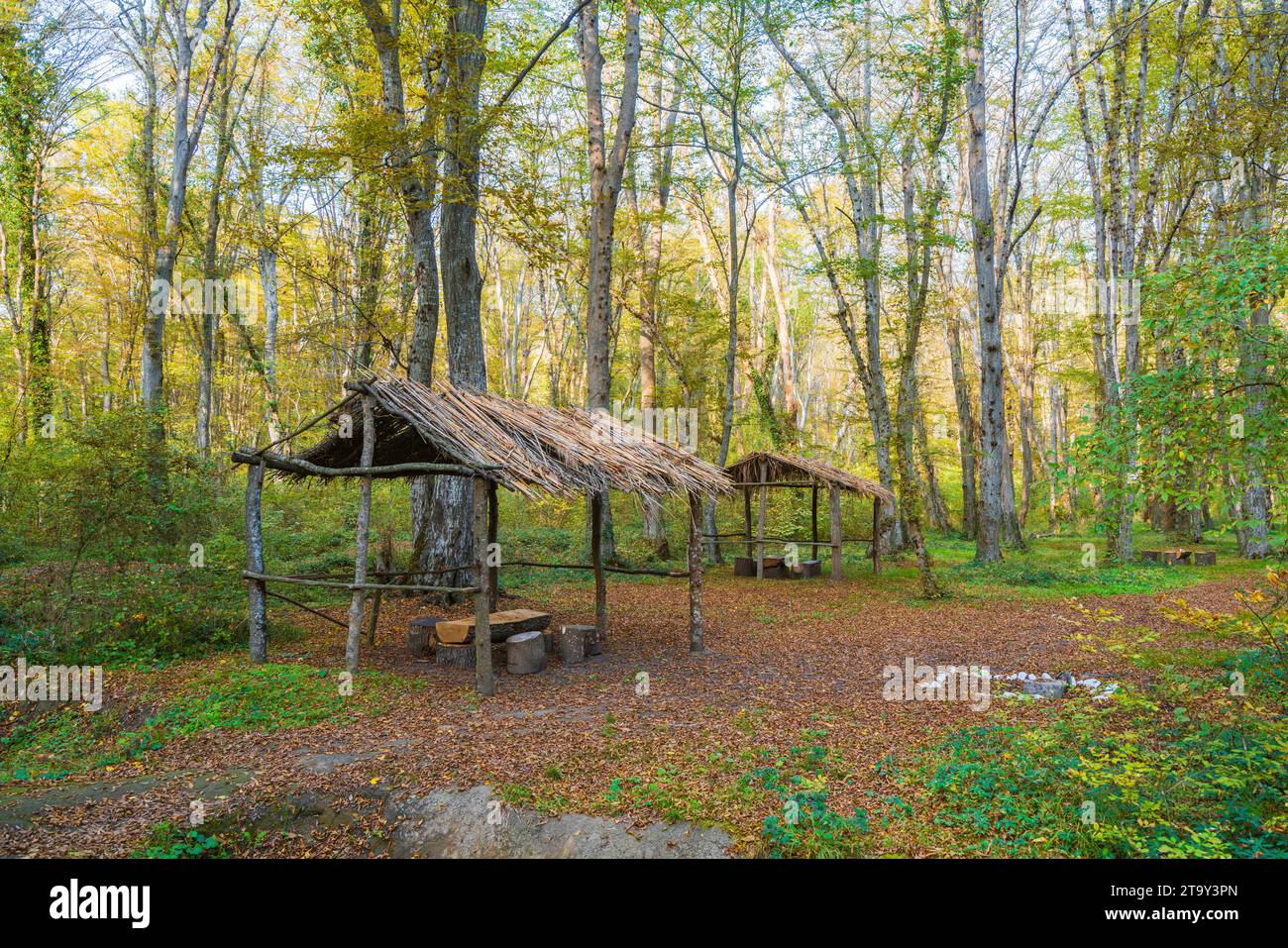 Lieu de repos et de camping en forêt Banque D'Images