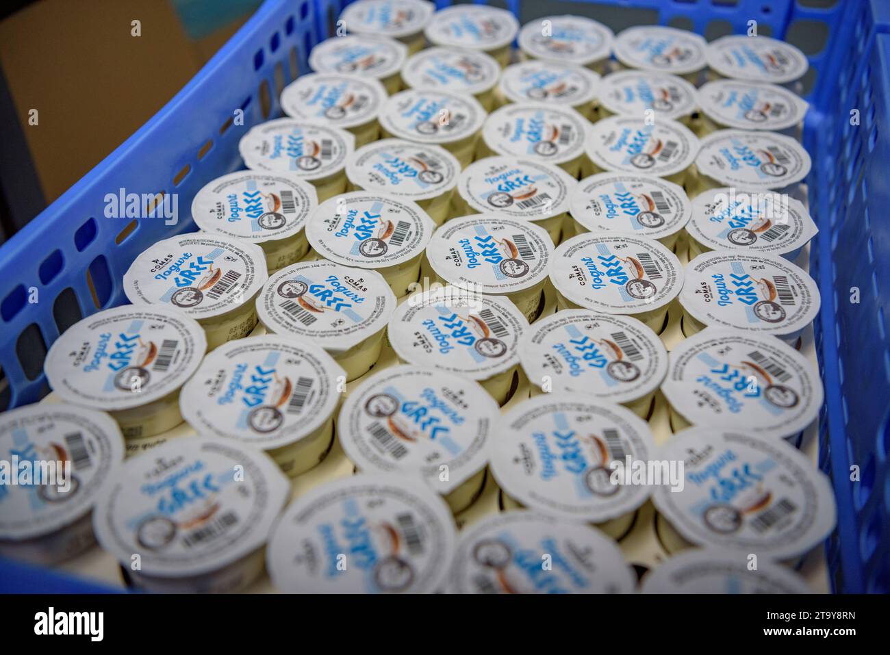 Emballage de divers yaourts dans la salle de travail de la ferme Comas, à Santa Eugènia de Berga (Osona, Barcelone, Catalogne, Espagne) Banque D'Images