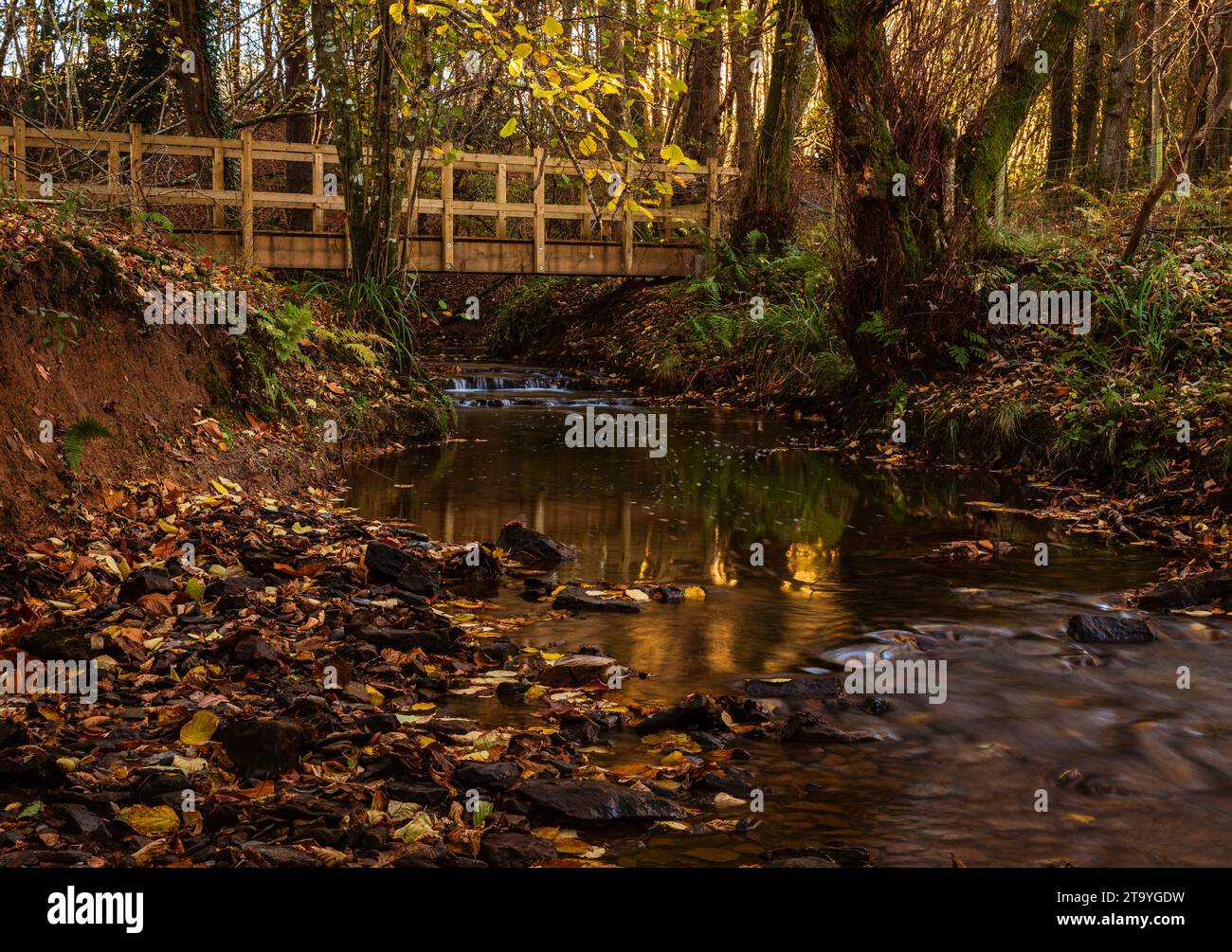 Passerelle au-dessus de la rivière Dudwell dans la vallée entre Three CUPS Corner et Burwash Common sur le haut weald dans l'est du Sussex au sud-est de l'Angleterre Banque D'Images