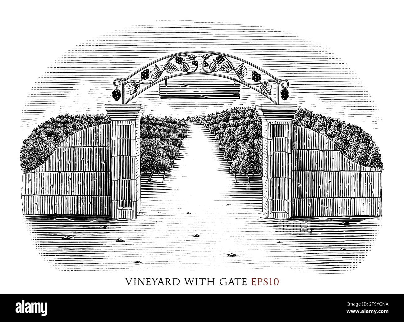 Vignoble avec portail dessin à la main style vintage noir et blanc clip art Illustration de Vecteur