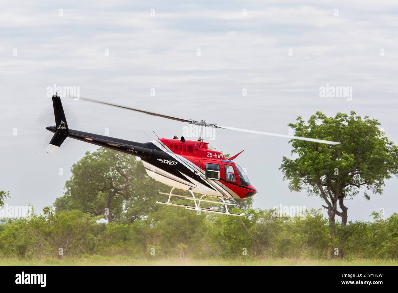 Hélicoptère Bell Jet Ranger en vol à basse altitude au-dessus du bushveld Banque D'Images