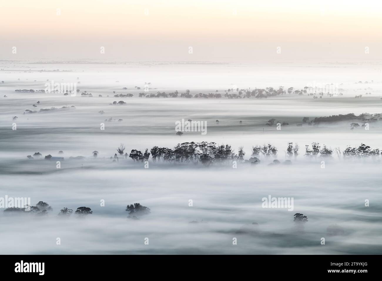 Plaines de Wimmera couvertes de brume matinale. Banque D'Images