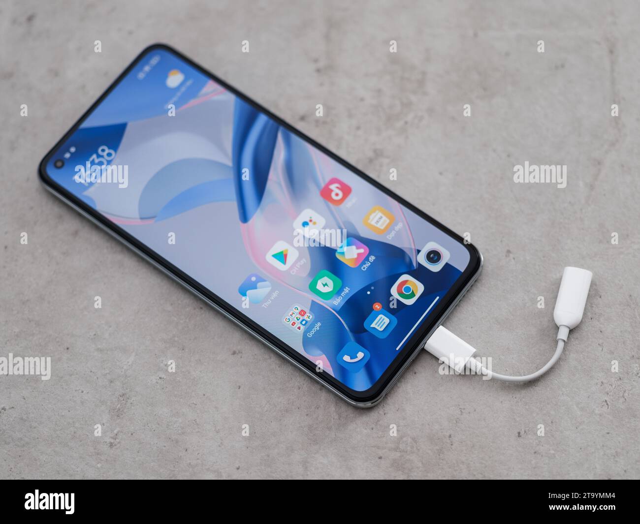 HCMC, VN - novembre 2023. Xiaomi 11 Lite 5G Swarovski pour un usage éditorial Banque D'Images
