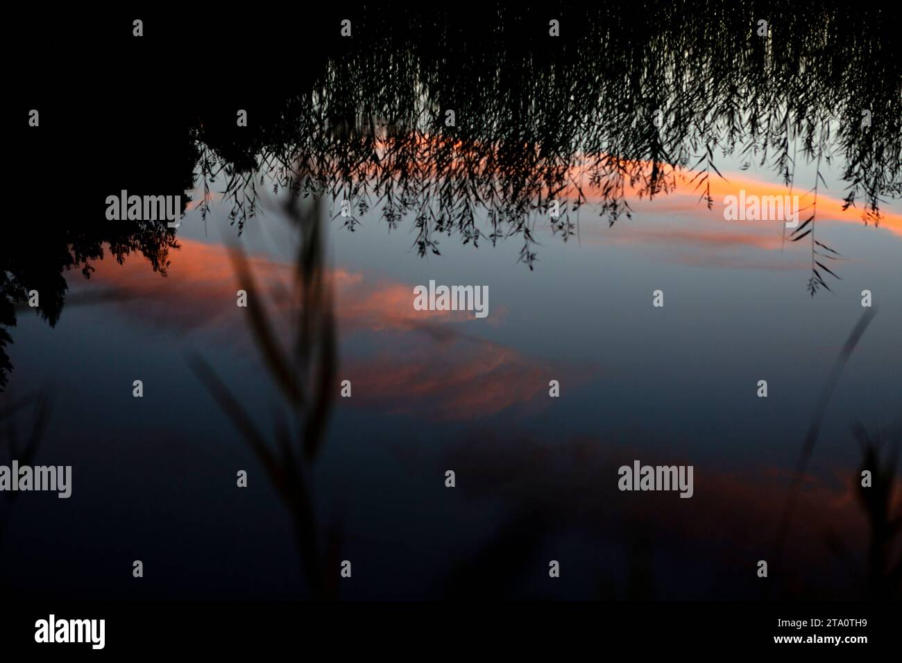 Découverte de la beauté tranquille du lac naturel d'été finlandais en Carélie du Nord, Finlande : une exploration captivante des paysages nordiques Banque D'Images