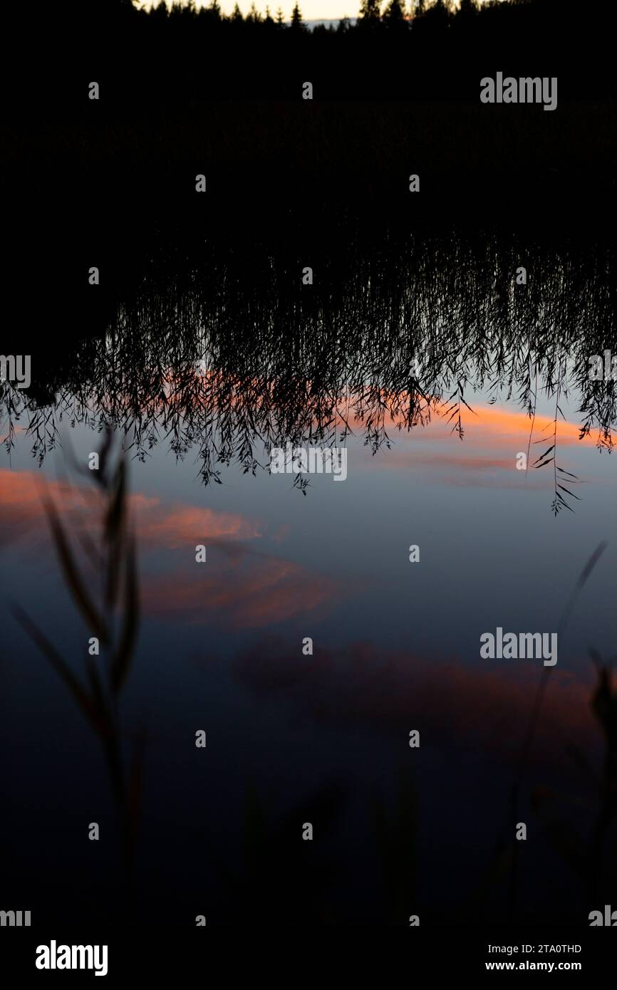 Découverte de la beauté tranquille du lac naturel d'été finlandais en Carélie du Nord, Finlande : une exploration captivante des paysages nordiques Banque D'Images