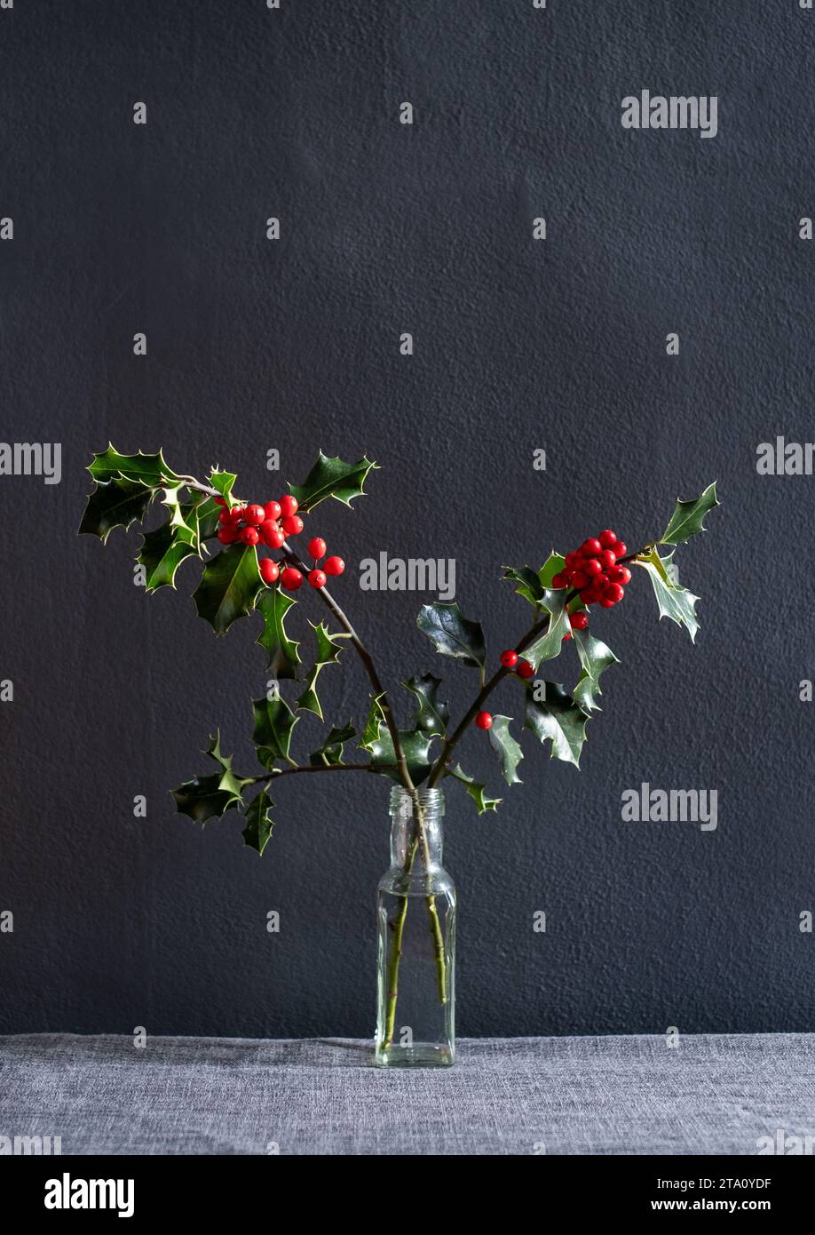 Décoration de table festive minimaliste de branches de houx coupées avec des baies rouges et des feuilles, dans une bouteille de condiment réutilisée, sur un fond gris. Banque D'Images