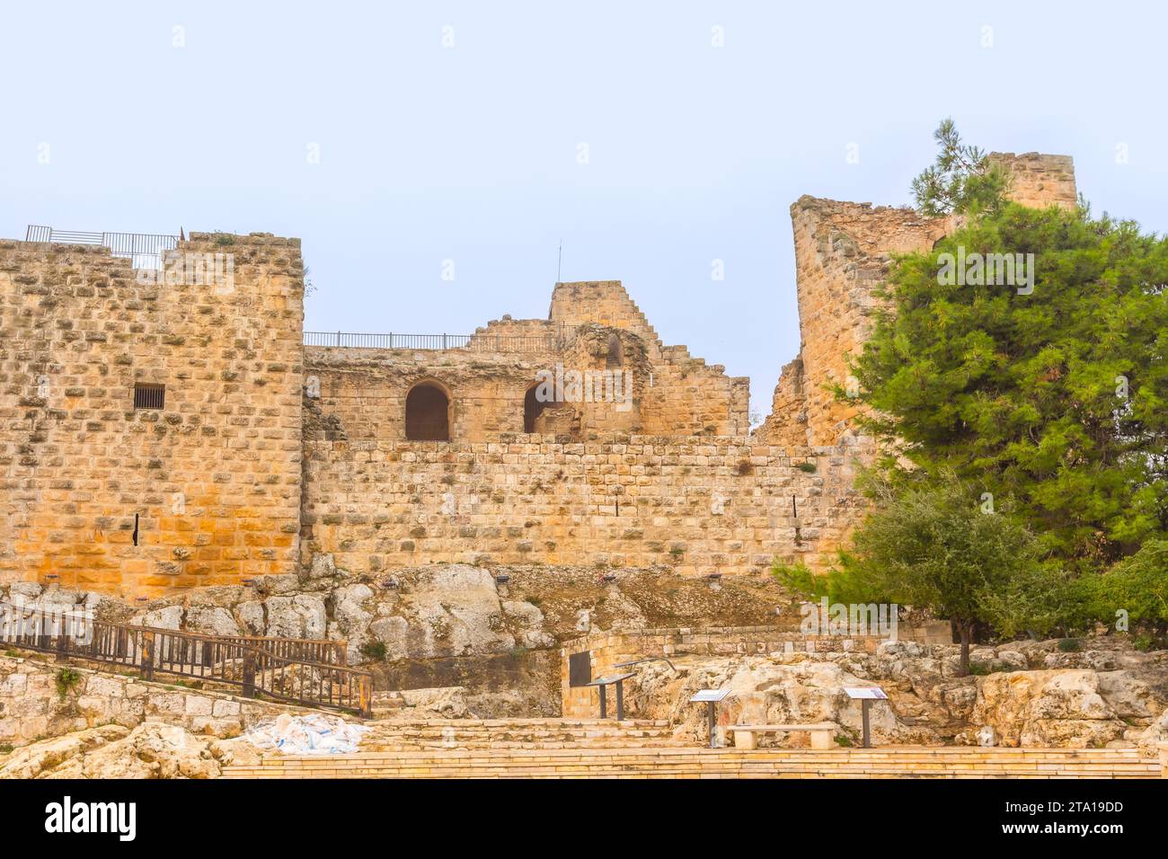 Château d'Ajloun, Jordanie construit par les Ayyubides en 12th siècle, Moyen-Orient Banque D'Images