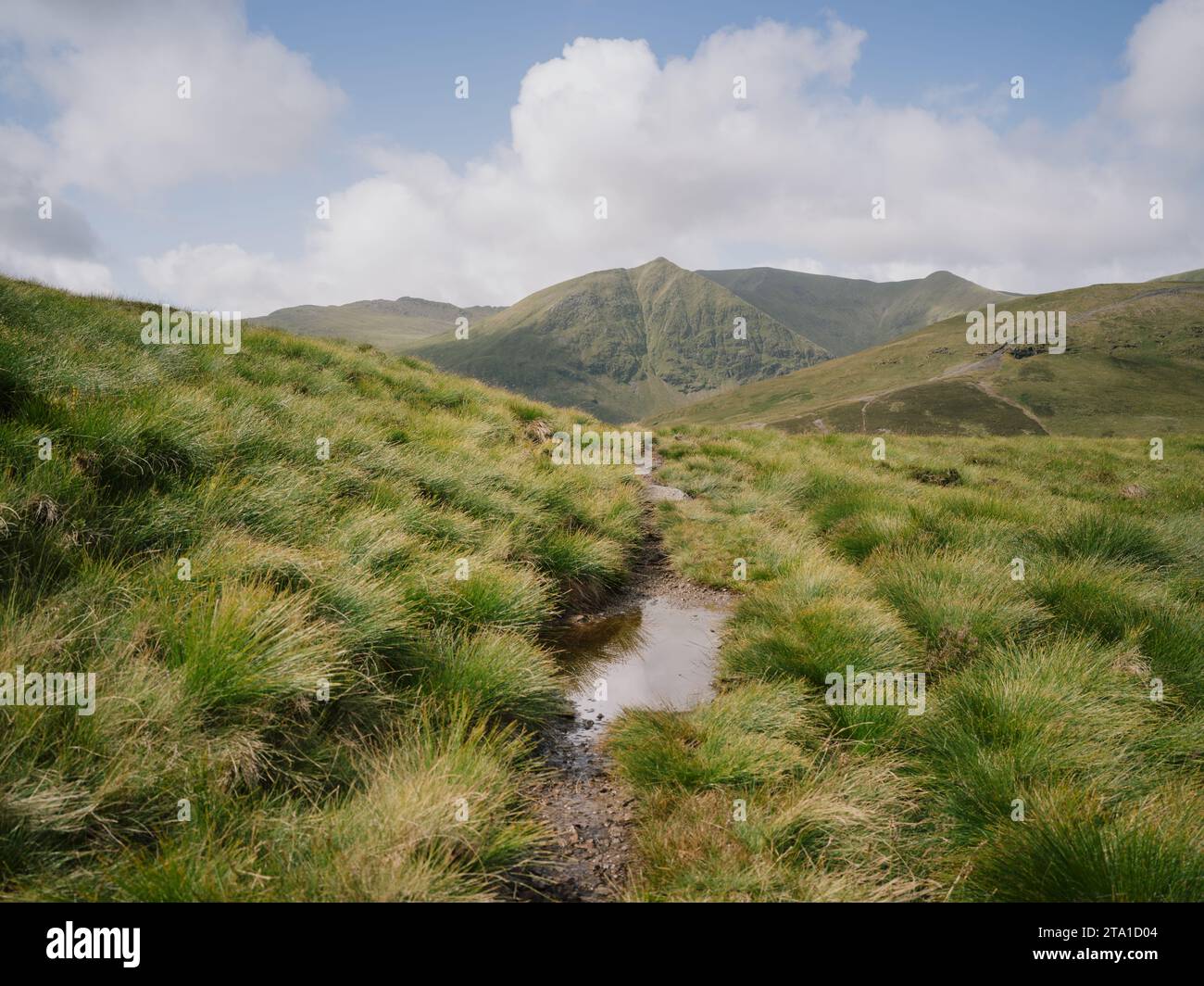 Helvellyn vu au loin de Glencoyne, une vallée dans les Fells de l'est du parc national Lake District, Cumbria Banque D'Images