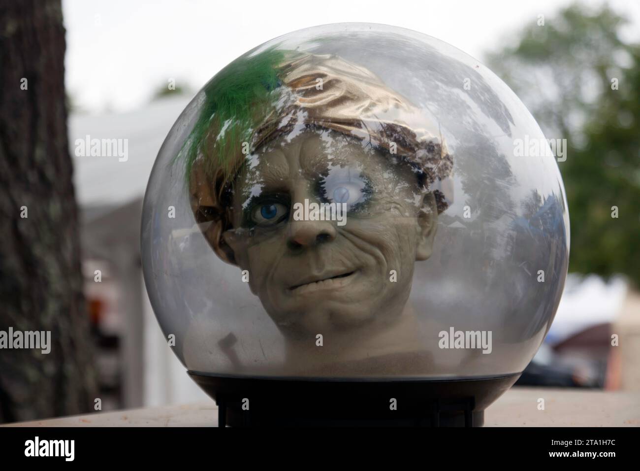 Gros plan d'une étrange tête de devin, à l'intérieur d'une sphère de verre, à vendre au marché aux puces de Brimfield, comté de Hampden, Massachusetts, Banque D'Images