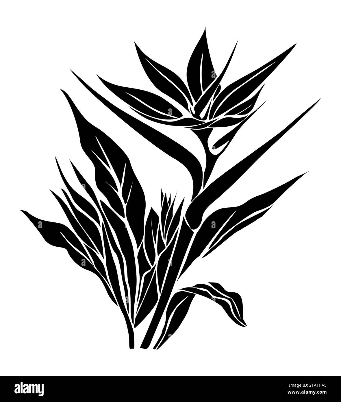 Silhouette de Strelitzia, oiseau de fleur du Paradis. Illustration de Vecteur