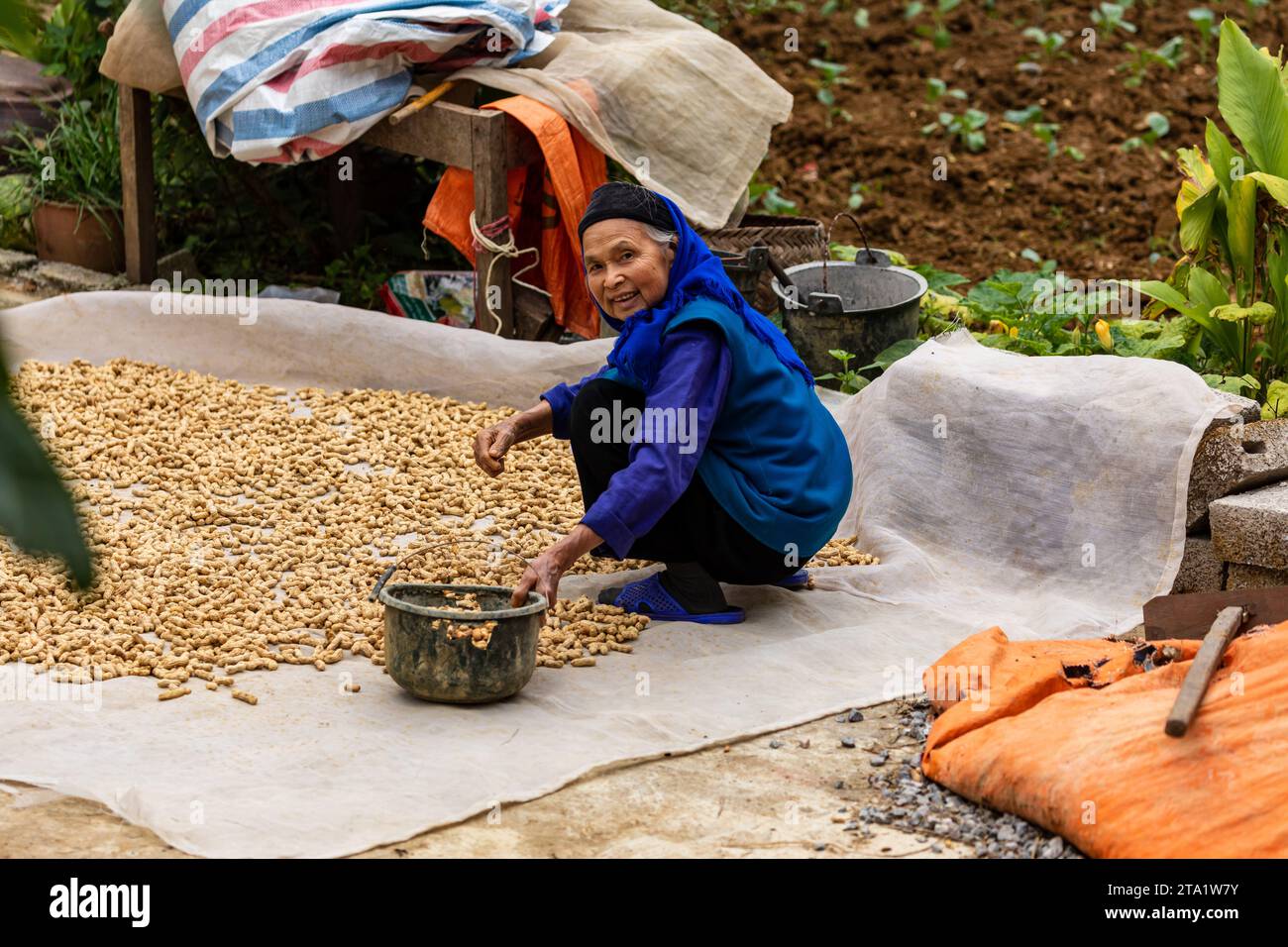 Une femme de ferme dans le nord du Vietnam dans la vallée de bac son Banque D'Images