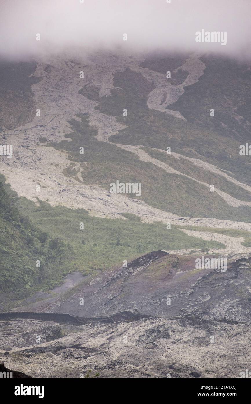 Ancienne coulée de lave du Piton de la Fournaise, route du Grand-Brûlé (RN2) ou la routes des laves, Réunion, France. Banque D'Images