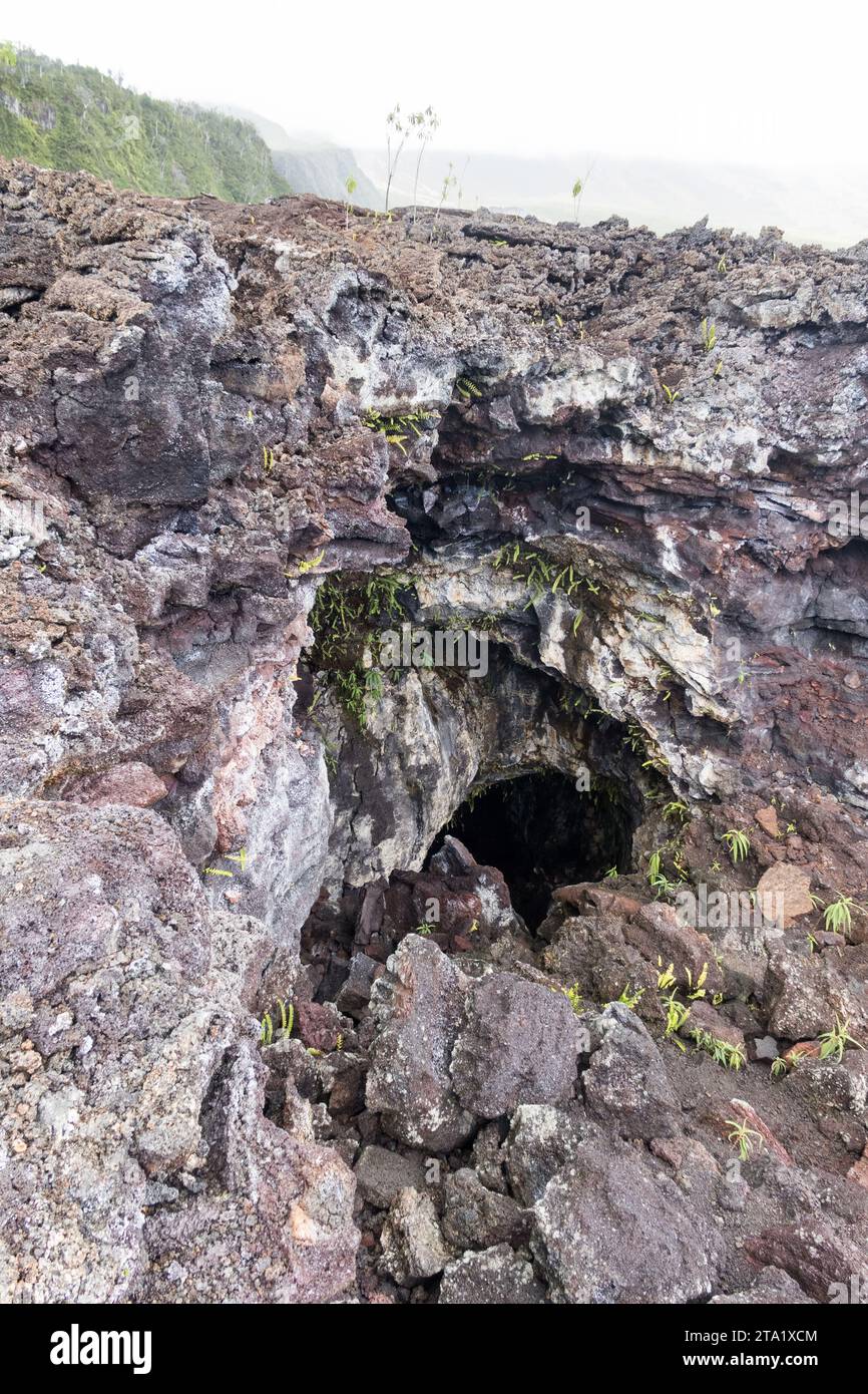 Ancienne coulée de lave du Piton de la Fournaise, route du Grand-Brûlé (RN2) ou la routes des laves, Réunion, France. Banque D'Images