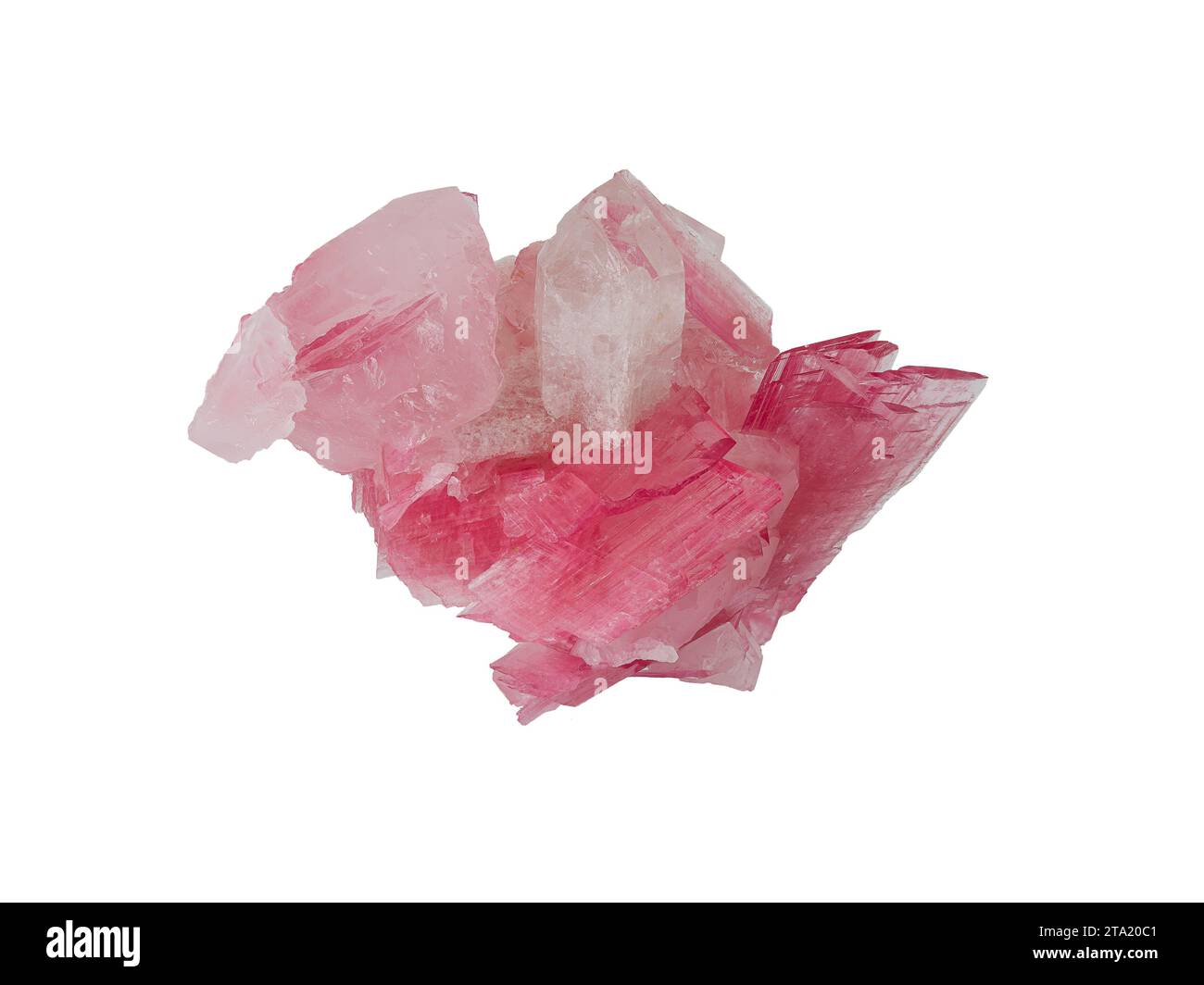 cristaux minéraux de rubellite naturelle (tourmaline rose) sur fond blanc Banque D'Images