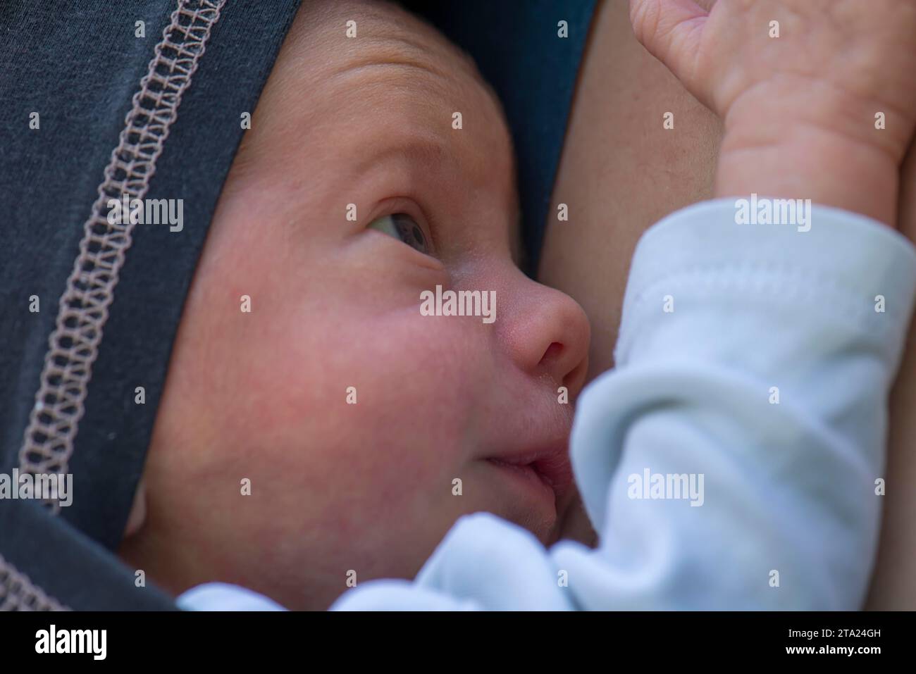 Bébé prématuré en fronde avec mère, Mecklenburg-Vorpommern, Allemagne Banque D'Images