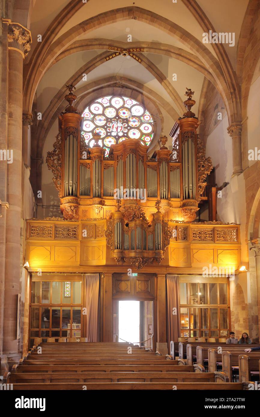 Orgue de l'église gothique St Thomas, vue intérieure, Grande Ile, Strasbourg, Bas-Rhin, Alsace, France Banque D'Images