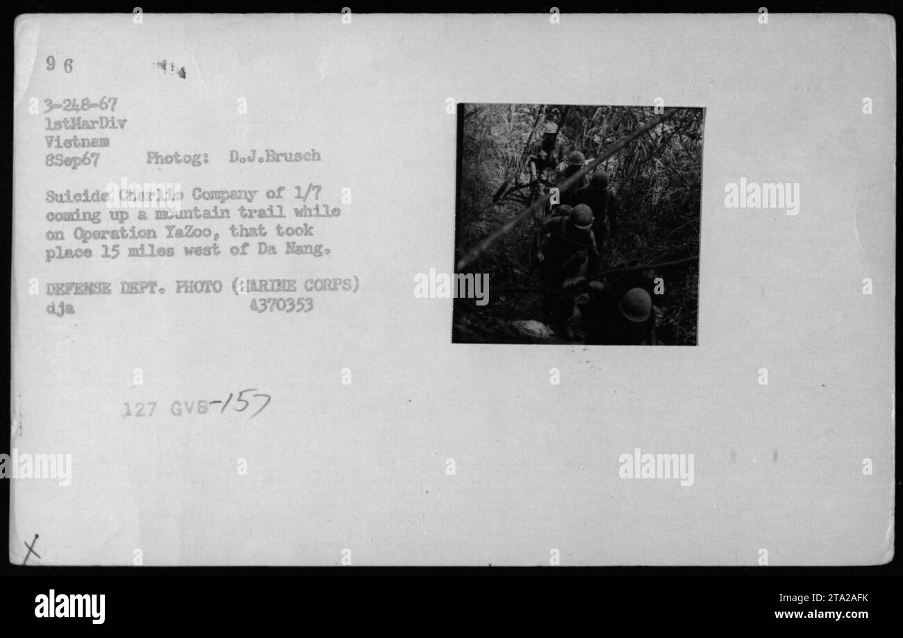 Titre : opération de combat Yazoo - suicide Charlie Company on Mountain Trail Légende : sur cette photo prise le 8 septembre 1967, lors de l'opération Yazoo au Vietnam, des membres de suicide Charlie Company de 1/7 (première division des Marines) peuvent être vus monter un sentier de montagne situé à environ 15 miles à l'ouest de Da Nang. L'image a été prise par D.J. Brusch, un photographe officiel du ministère de la Défense. Banque D'Images