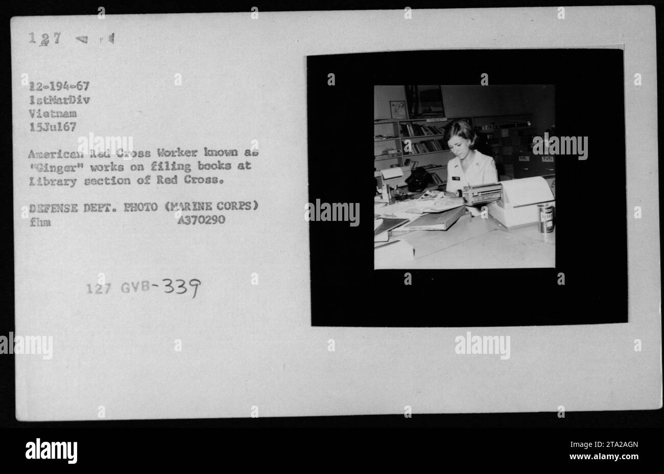 Travailleur de la Croix-Rouge américaine connu sous le nom de « gingembre » classant des livres à la section bibliothèque de la Croix-Rouge au Vietnam. Cette photo a été prise le 15 juillet 1967 et fait partie des activités de l'USO et de la Croix-Rouge pendant la guerre du Vietnam. Photo du ministère de la Défense. Numéro de référence : A370290. Banque D'Images