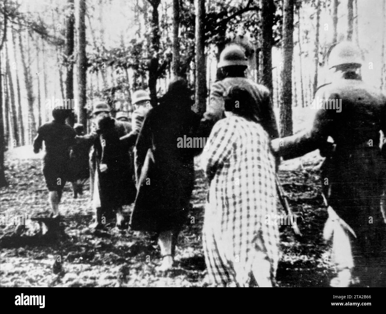 MASSACRE DE PALMIRY janvier 1940. Soldats allemands conduisant des femmes à l'exécution de masse dans la forêt près de Palmiry, Pologne Banque D'Images