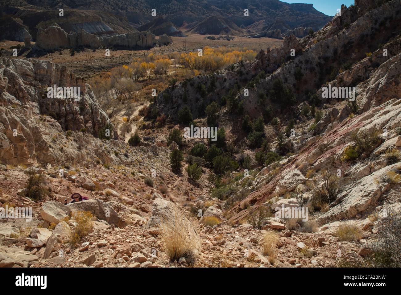 Paysages américains classiques : East Kaibab Monocline : une zone pittoresque de couches sédimentaires renversées dans le Grand Staircase NM Banque D'Images