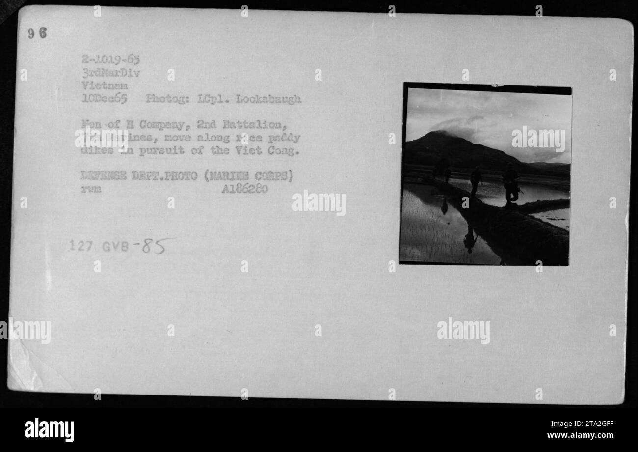 Des hommes de la compagnie H, 2e bataillon, 7e Marines, sont vus sur cette photographie en noir et blanc se déplaçant le long des digues de riz paddy à la poursuite du Viet Cong pendant la guerre du Vietnam. La photographie a été prise le 10 décembre 1965 par le Lcpl. Lookabaugh du corps des Marines. Source : DEFENSE Dept. PHOTO (MARINE CORPS) Banque D'Images