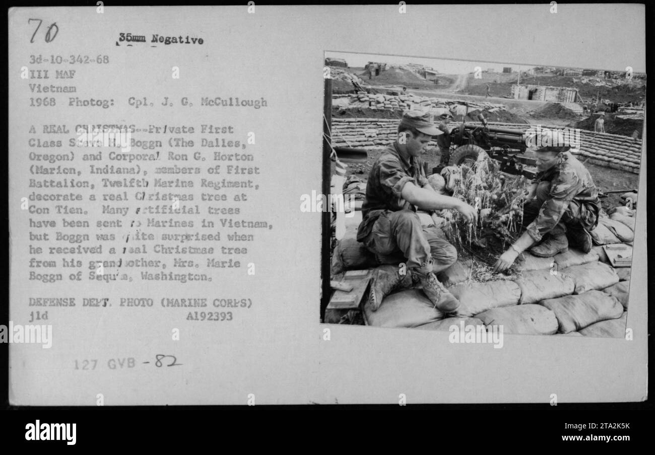 Les Marines FPC Steve H. Boggn et le Cpl Ron G. Horton, du premier bataillon du douzième régiment de Marines, sont vus décorant un véritable sapin de Noël à con Tien pendant la guerre du Vietnam. La grand-mère de Boggn, Mme Marie Boggn de Sad'a, Washington, l'a surpris avec l'arbre, qui contraste avec les arbres artificiels souvent envoyés aux Marines au Vietnam. Banque D'Images