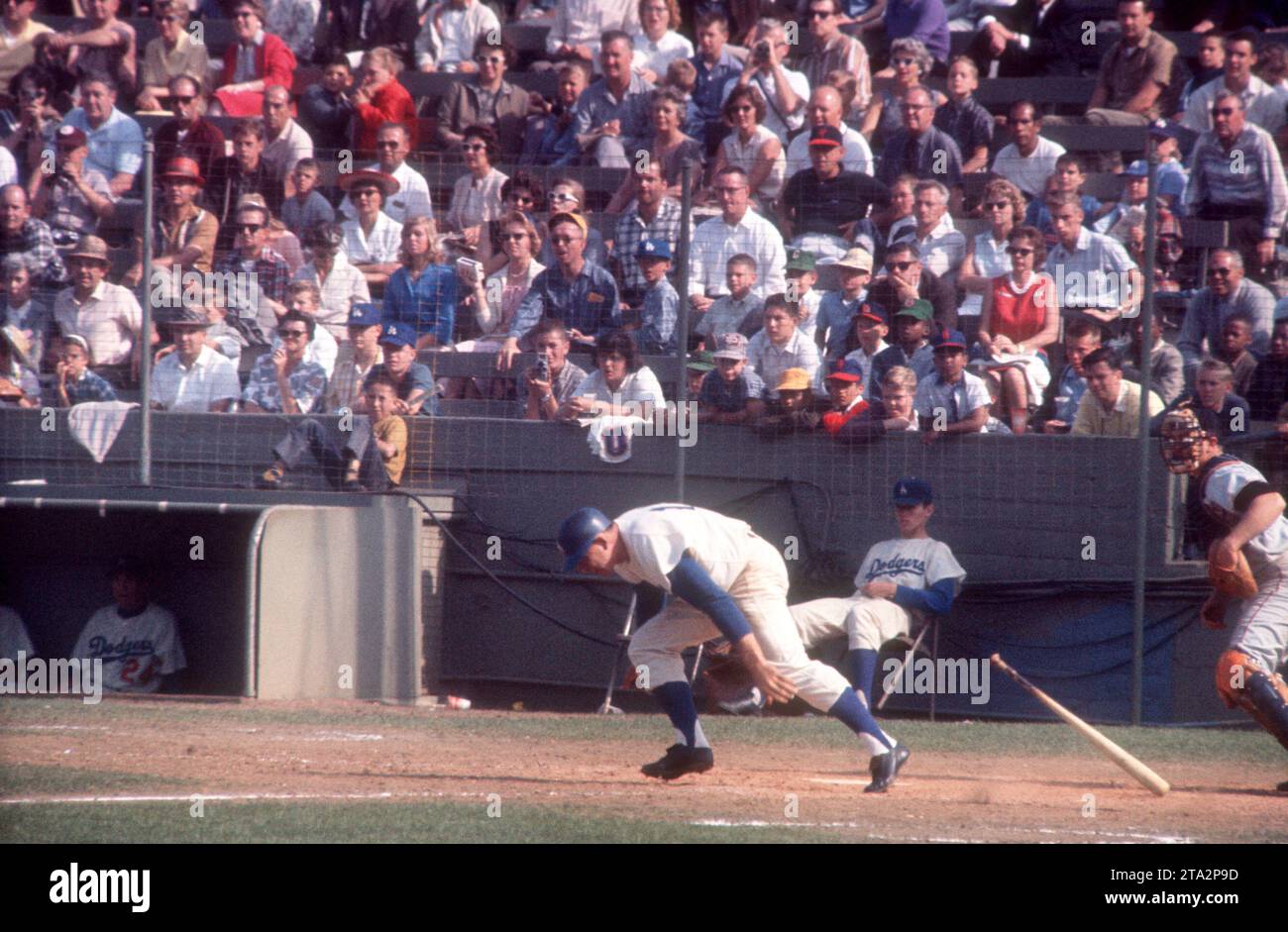 LOS ANGELES, CA - 4 JUIN : Gil Hodges #14 des Dodgers de Los Angeles saute sur le terrain lors d'un match MLB contre les Giants de San Francisco le 4 juin 1961 au Los Angeles Memorial Coliseum de Los Angeles, Californie. (Photo de Hy Peskin) *** Légende locale *** Gil Hodges Banque D'Images