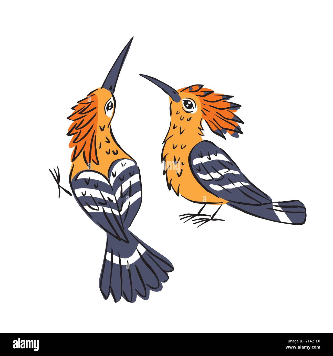 Illustration colorée au trait d'art d'oiseaux hoopoe mignons Illustration de Vecteur