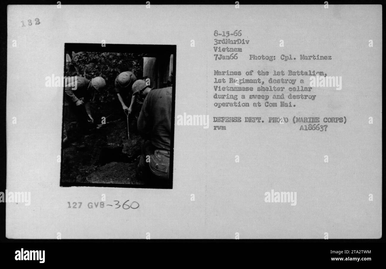 Les Marines du 1er Régiment démantelent une cave d'abri Viet Cong lors d'une opération de recherche et de destruction à COM mai, Vietnam le 7 janvier 1966. La photographie documente les opérations militaires américaines et les efforts de contre-guérilla pendant la guerre du Vietnam. Banque D'Images