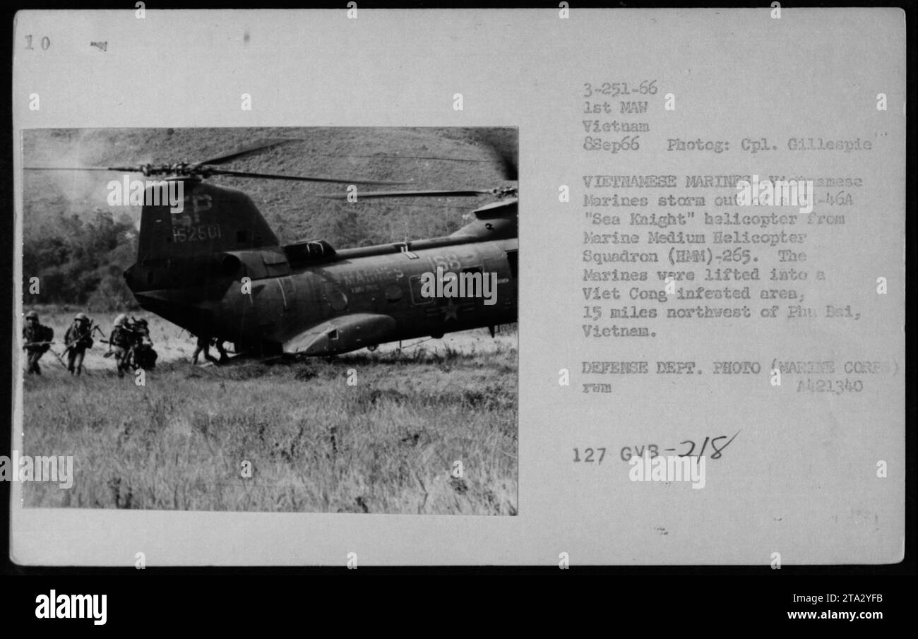 Des Marines vietnamiens sont vus sortir d'un hélicoptère CH-46 'Sea Knight' du Marine Medium Helicopter Squadron (HM)-265 pendant la guerre du Vietnam. Cette image capture le moment où les Marines ont été transportés par avion vers une zone infestée par Viet Cong située à 15 miles au nord-ouest de Phu Bai, Vietnam. Prise par le caporal Gillespie le 8 septembre 1966. Banque D'Images