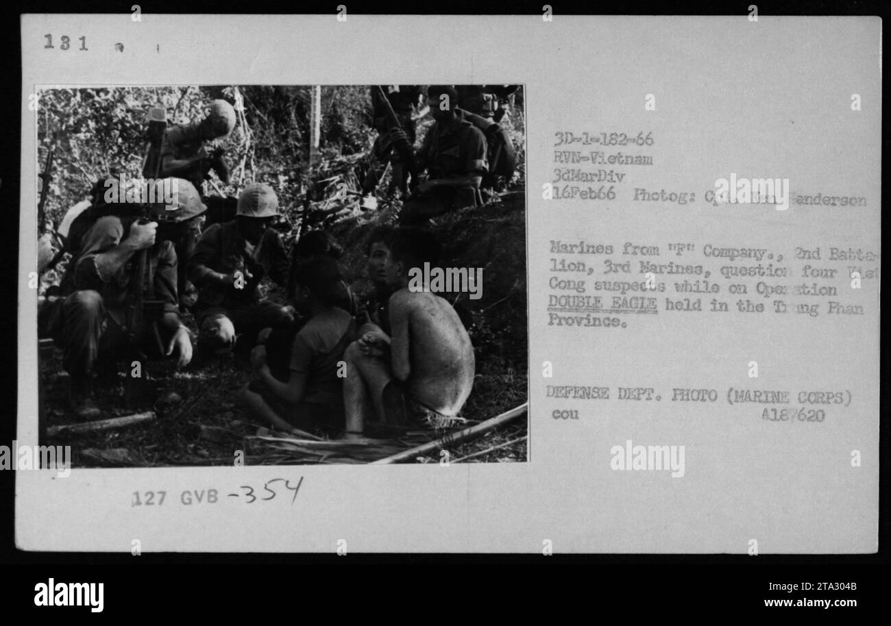 Les Marines du 2e Bataillon, 3e Marines, interrogent quatre suspects Viet Cong lors de l'opération DOUBLE EAGLE dans la province de TNG Phan. La photographie, prise le 16 février 1966 par le caporal Ken Henderson du ministère de la Défense, montre les activités militaires américaines pendant la guerre du Vietnam. Banque D'Images